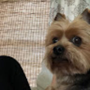 Meet your Posher, Rosalie